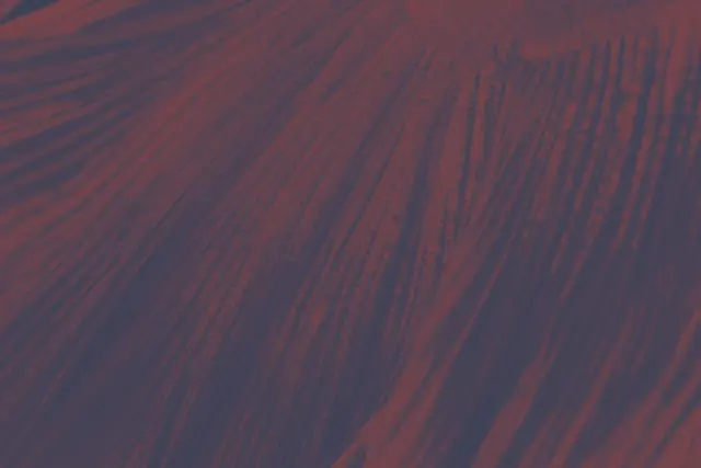 Spiber and Komatsu Matere to partner on application of Brewed Protein™ polymers to moisture-permeable waterproof membranes and development of new leather substitutes