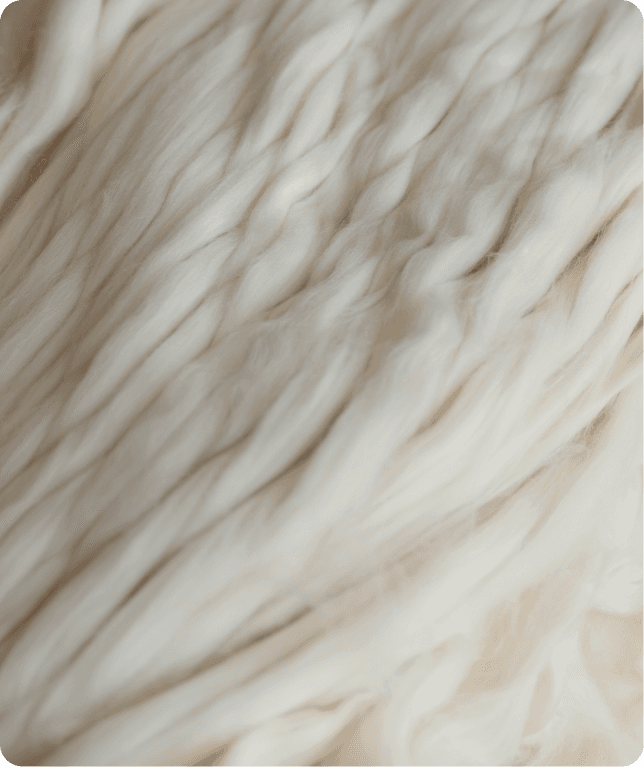 Tops/sliver (スライバー)